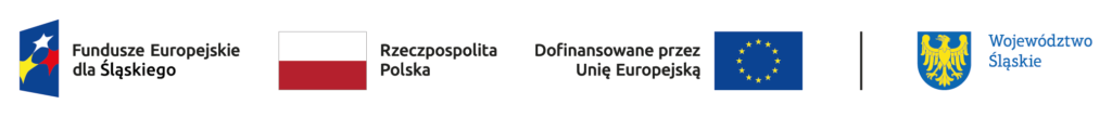 Strona Główna fe sl kolor poziom br